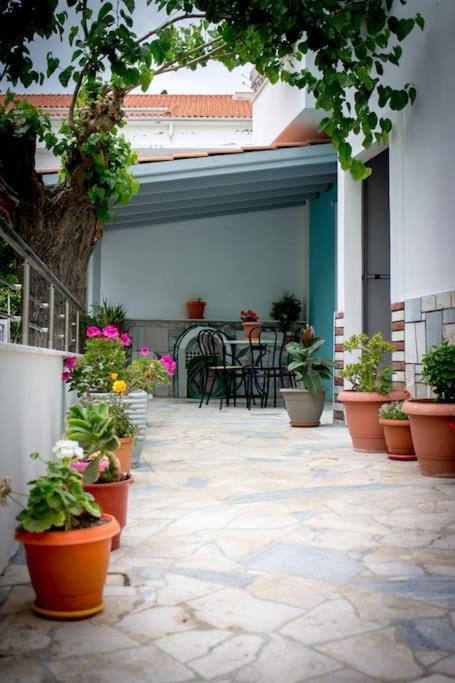 Spacious Apartment In The Heart Of Pythagorion Exteriér fotografie